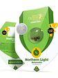 Northern Light Auto X100-Royal Queen Seeds - Miniatura 4
