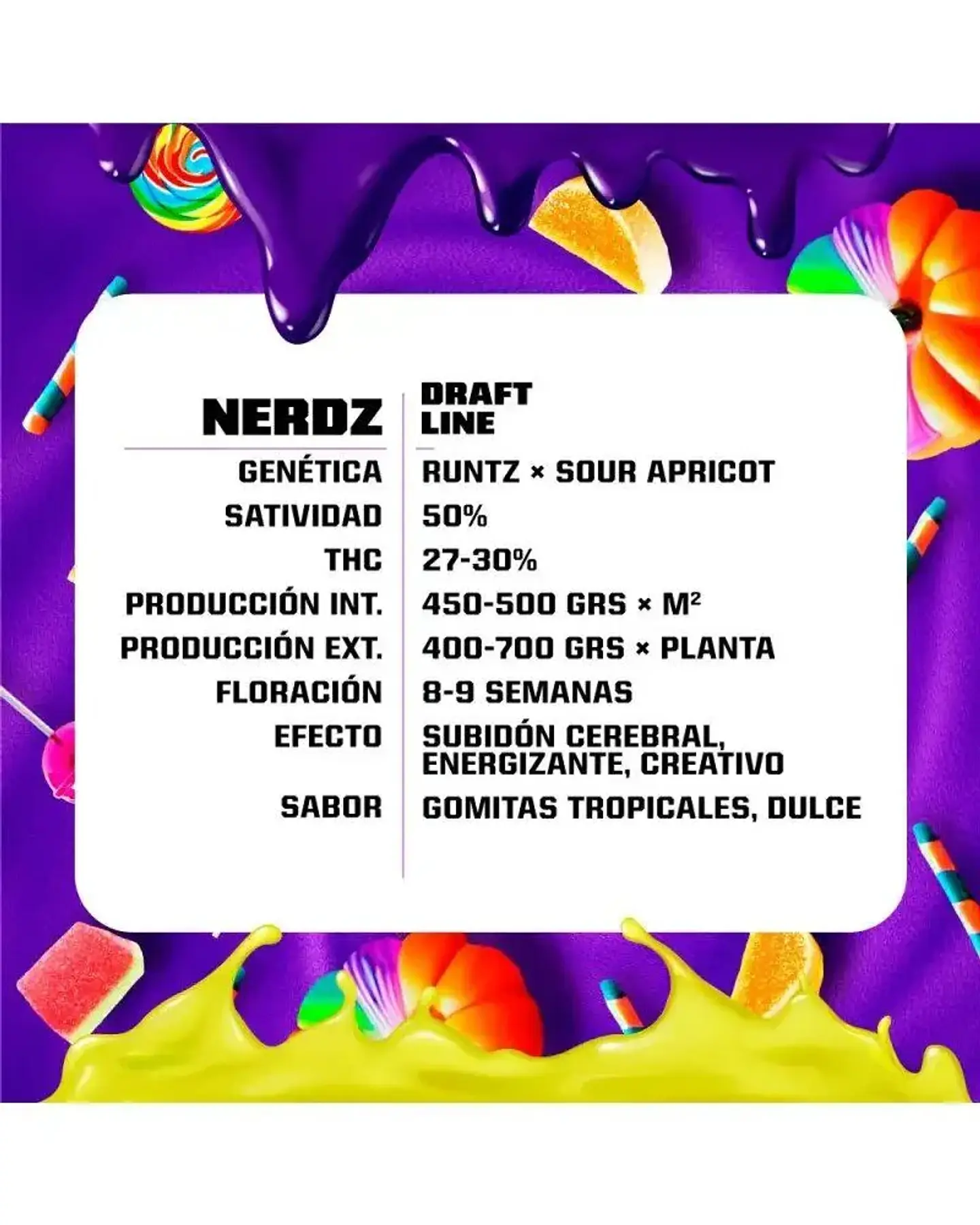 Nerdz Fem -Bsf (X12/X7/X4/X2) 4