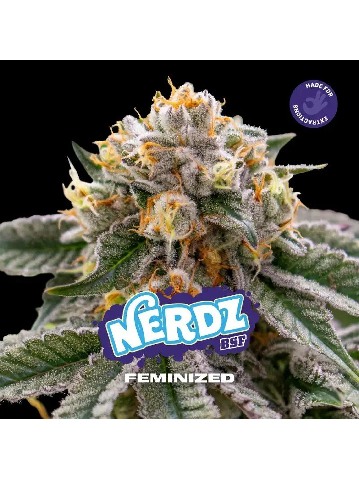 Nerdz Fem -Bsf (X12/X7/X4/X2) 11