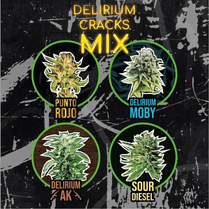 Mix Delirium Cracks Auto -Delirium Seeds (X14/X8/X4)