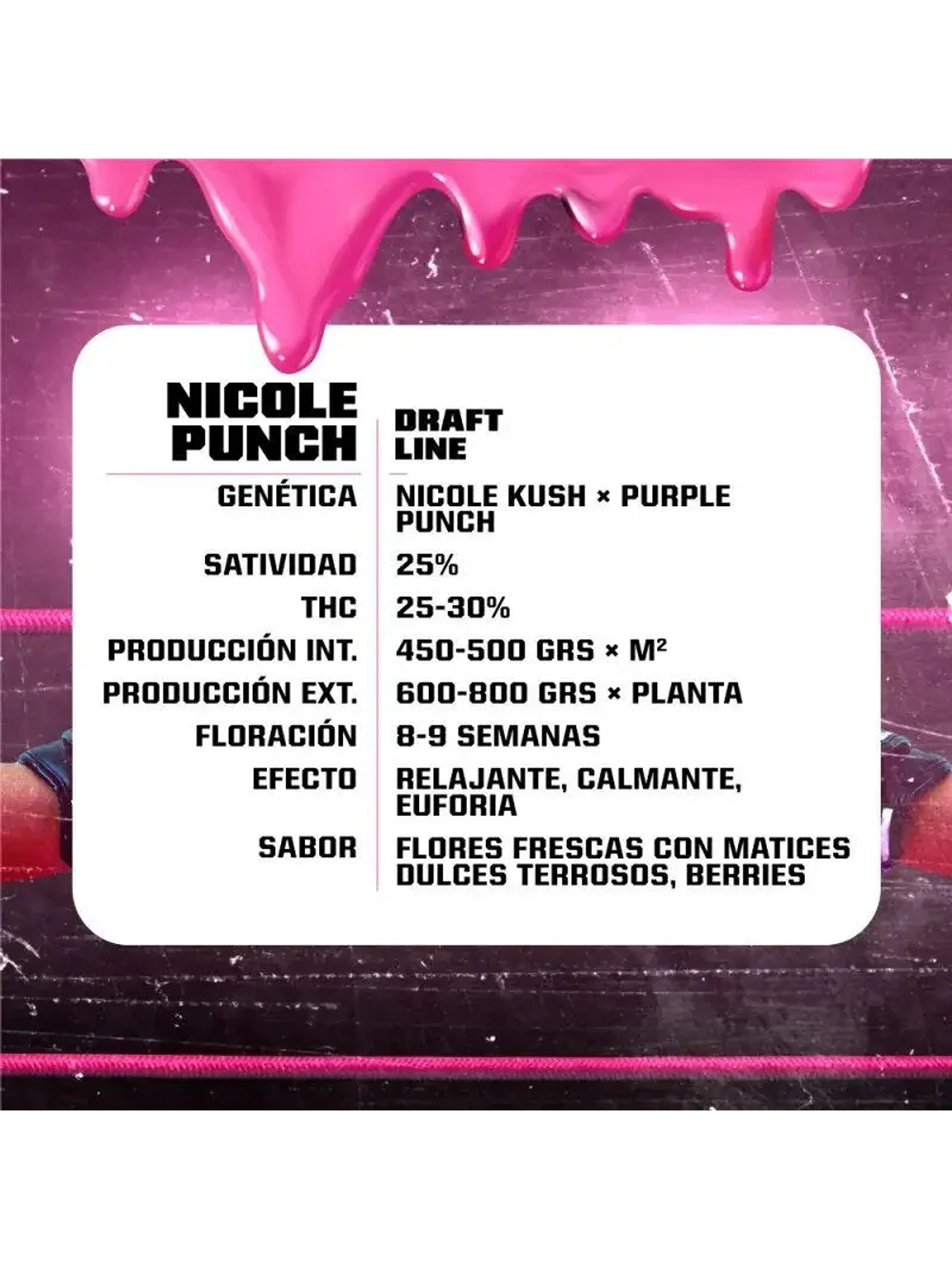 Nicole Punch Fem -Bsf (X12/X7/X4/X2) 5