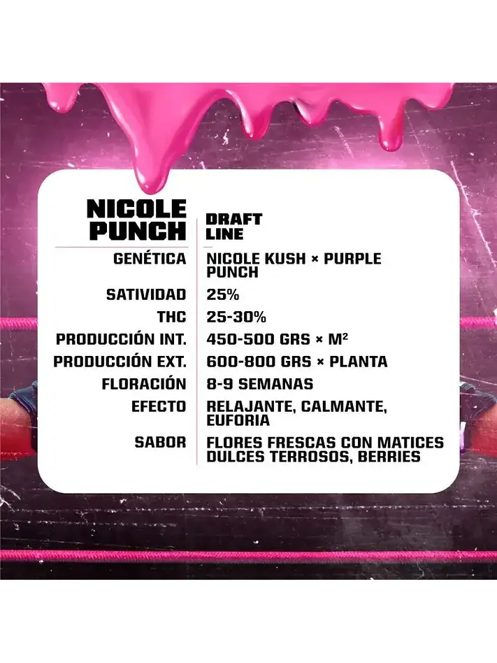 Nicole Punch Fem -Bsf (X12/X7/X4/X2) 5
