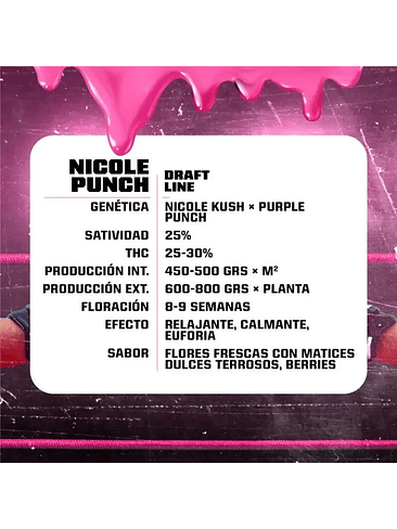 Nicole Punch Fem -Bsf (X12/X7/X4/X2) 9