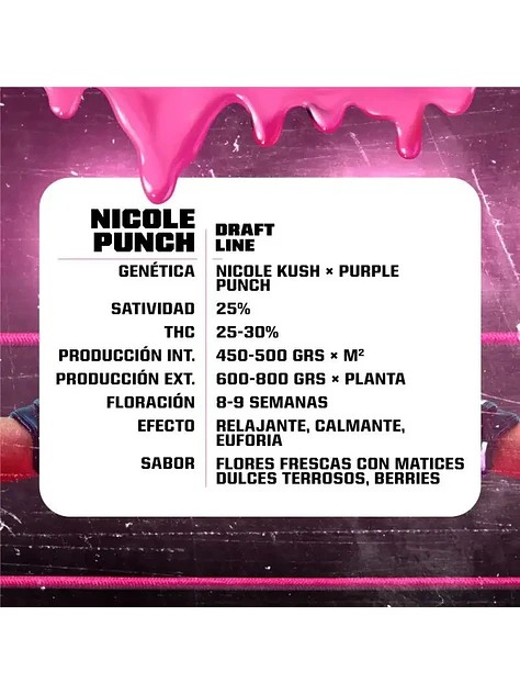 Nicole Punch Fem -Bsf (X12/X7/X4/X2) 9