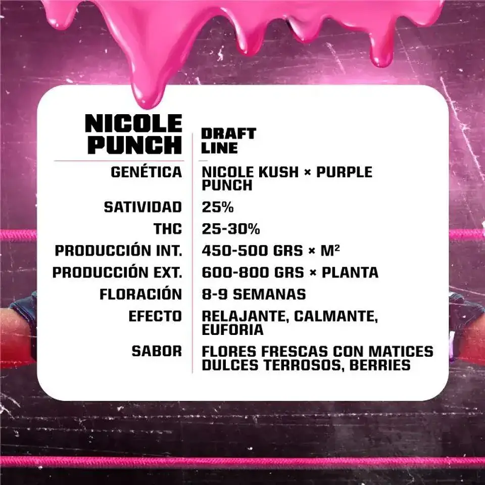 Nicole Punch Fem -Bsf (X12/X7/X4/X2) 12