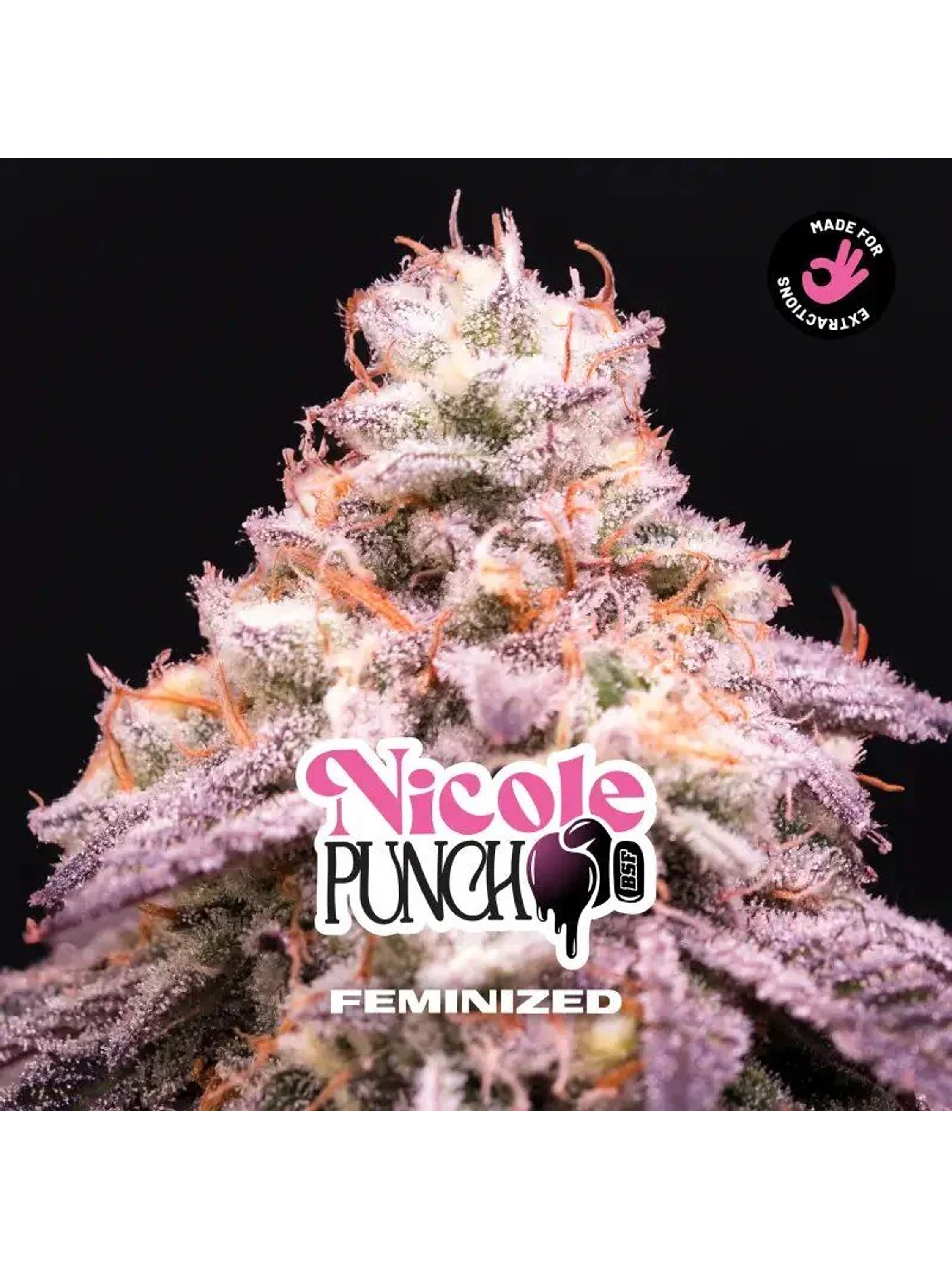 Nicole Punch Fem -Bsf (X12/X7/X4/X2) 14