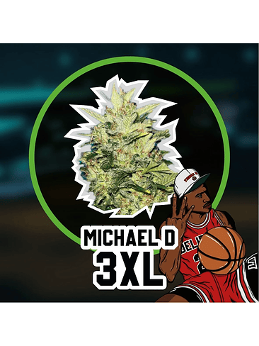 Michael D 3Xl Auto X4-Delirium Seeds 6