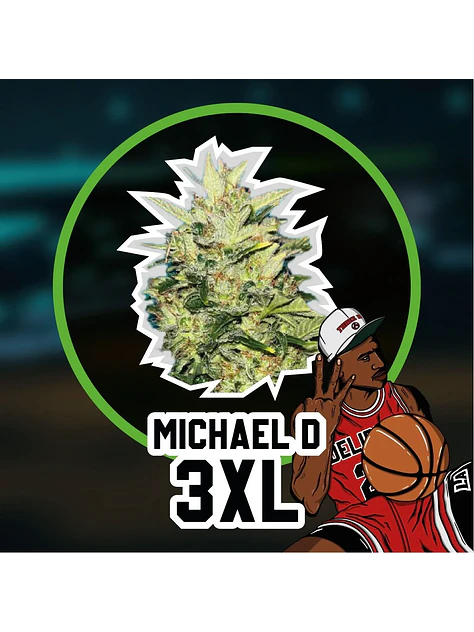 Michael D 3Xl Auto -Delirium Seeds (X4/X2/X1) 6