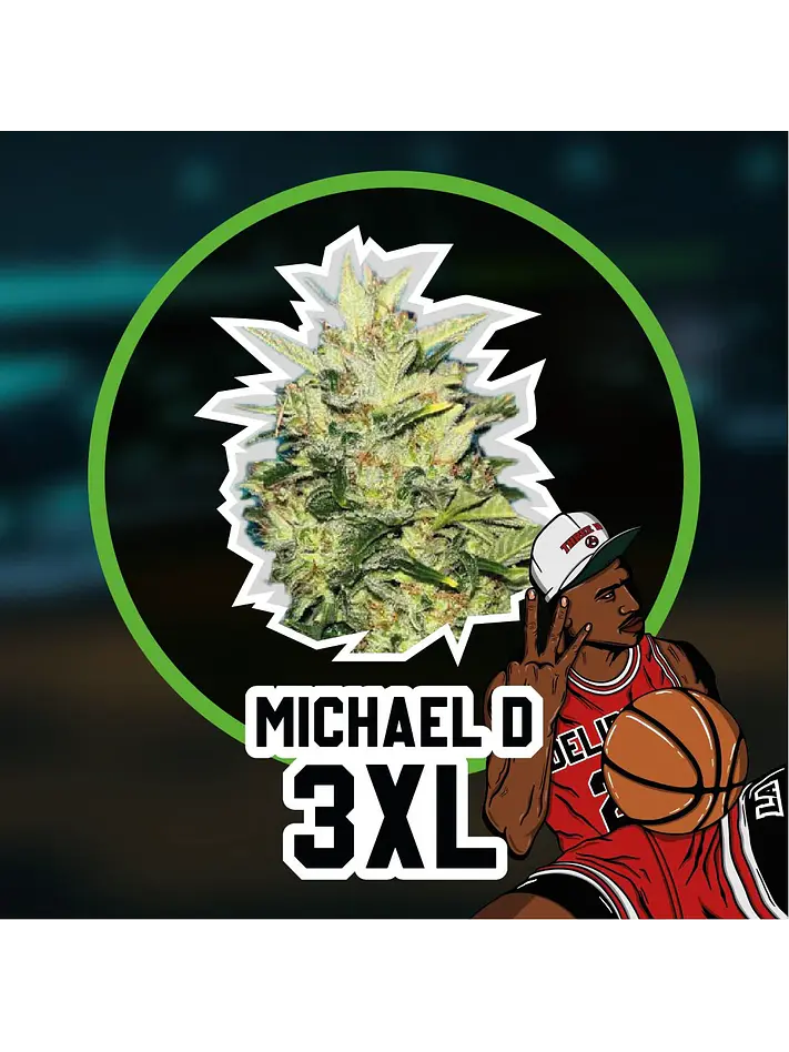 Michael D 3Xl Auto -Delirium Seeds (X4/X2/X1) 6