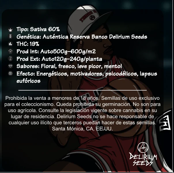 Michael D 3Xl Auto -Delirium Seeds (X4/X2/X1) 7