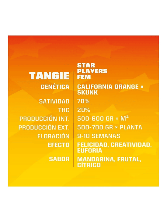 Tangie Fem X12-Bsf 6