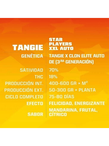 Tangie Xxl Auto X12-Bsf 4