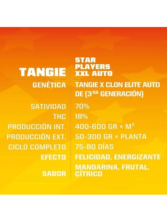 Tangie Xxl Auto X12-Bsf 4