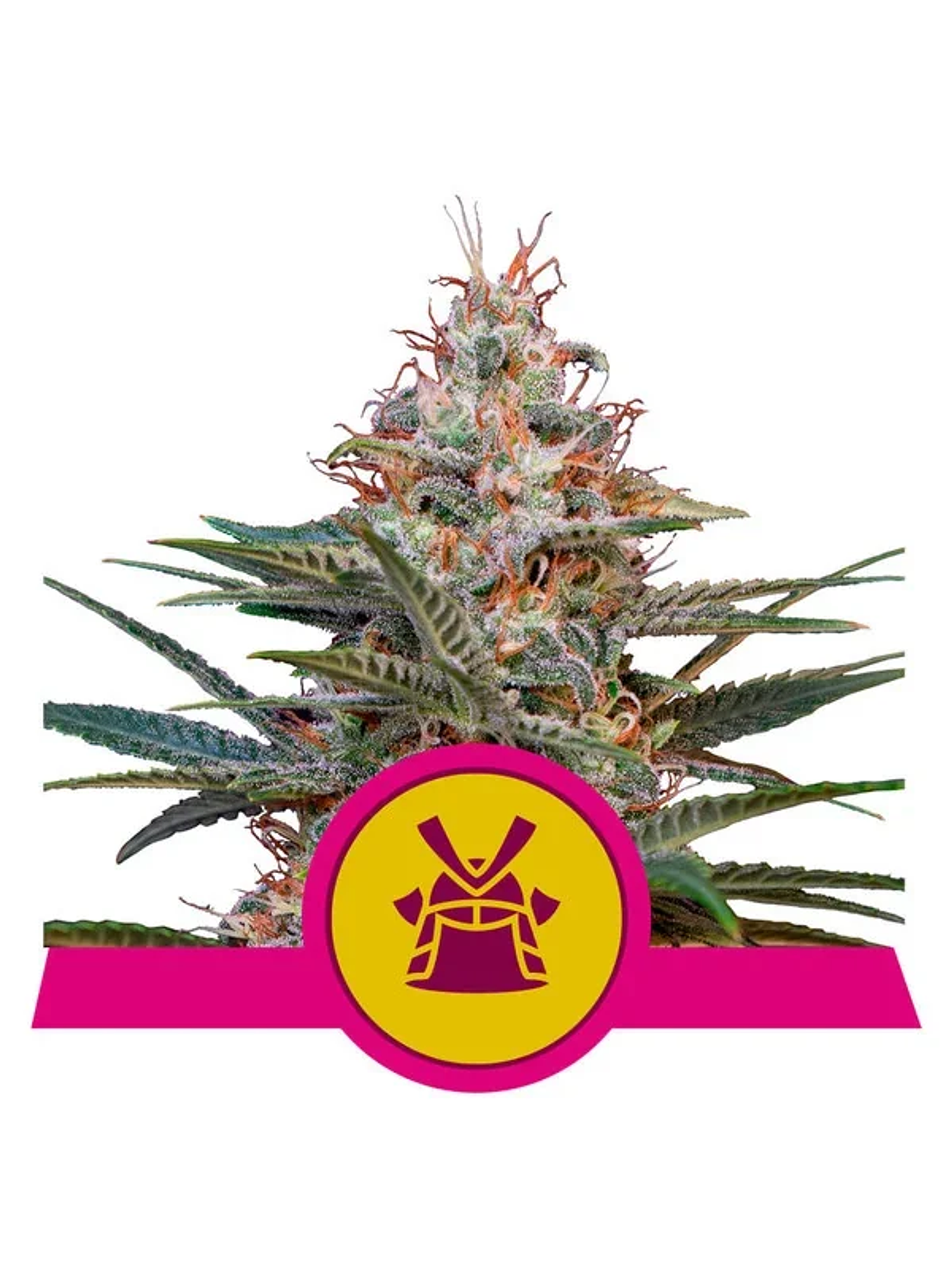 Shogun Fem -Royal Queen (X10/X3/X1) 3