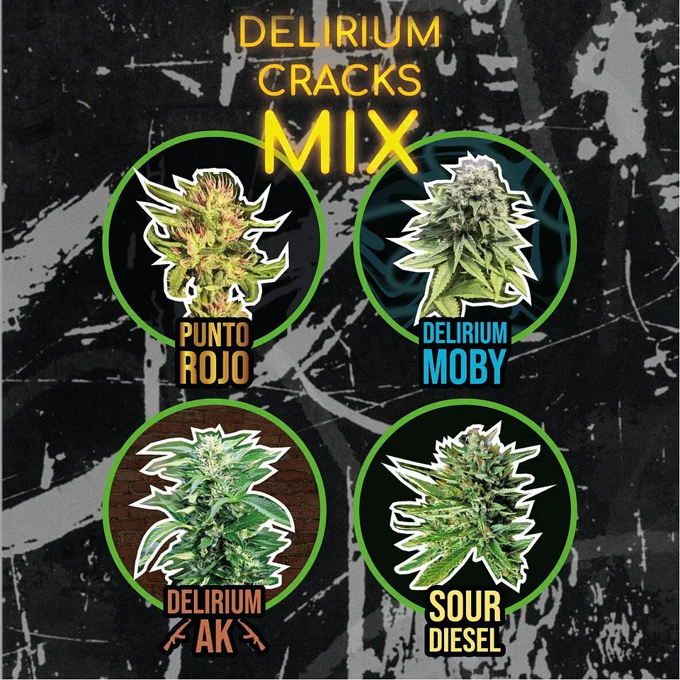 Mix Delirium Crack Fast Version -Delirium Seeds (X14/X8/X4) 3