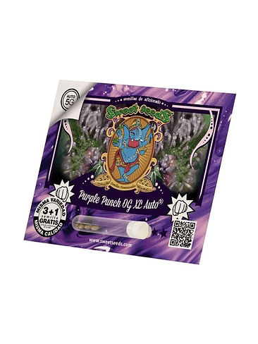 Purple Punch Og Xl Auto® X3+1-Sweet Seeds 6