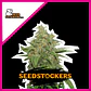 Ak420 Fem -Seedstockers (X100/X3+2/X3) - Miniatura 2