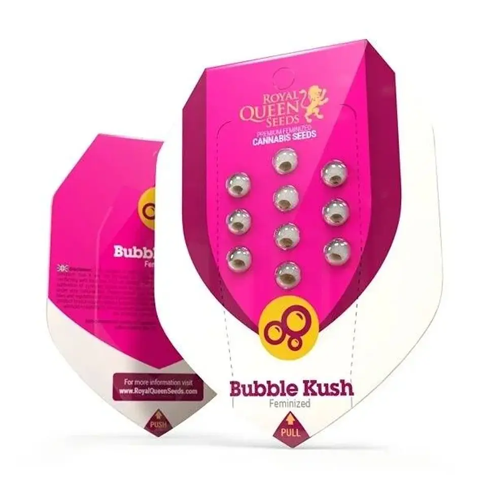 Bubble Kush Fem -Royal Queen Seeds (X10/X3/X1) 4