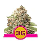 Triple G Usa Premium Fem -Royal Queen (X10/X3/X1) - Miniatura 2