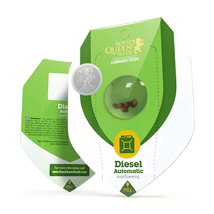 Diesel Auto X10-Royal Queen