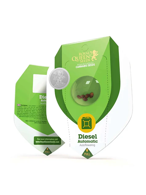 Diesel Auto -Royal Queen (X10/X3) 2