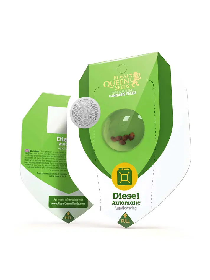 Diesel Auto -Royal Queen (X10/X3) 2