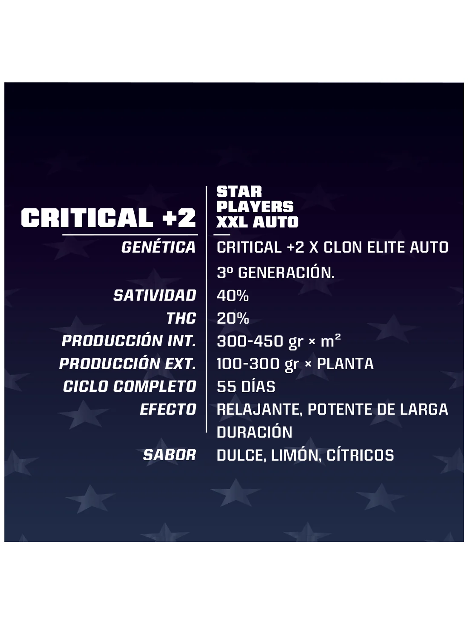 Critical +2 Xxl Auto -Bsf (X12/X7/X4/X2) 3