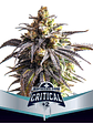 Critical +2 Xxl Auto X12-Bsf - Miniatura 4