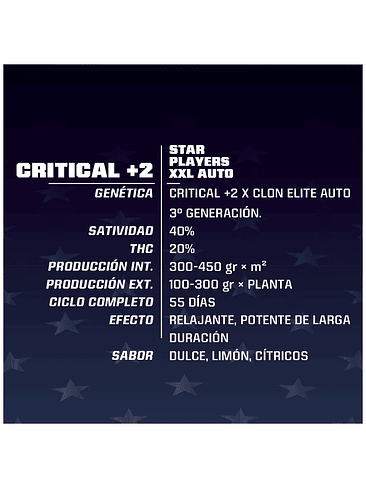Critical +2 Xxl Auto X12-Bsf 5