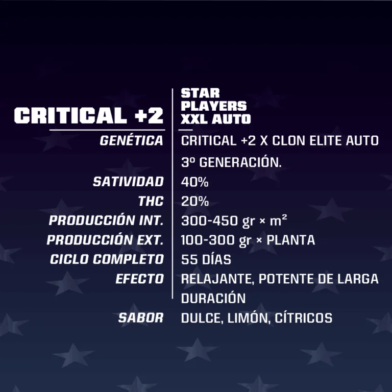 Critical +2 Xxl Auto -Bsf (X12/X7/X4/X2) 7