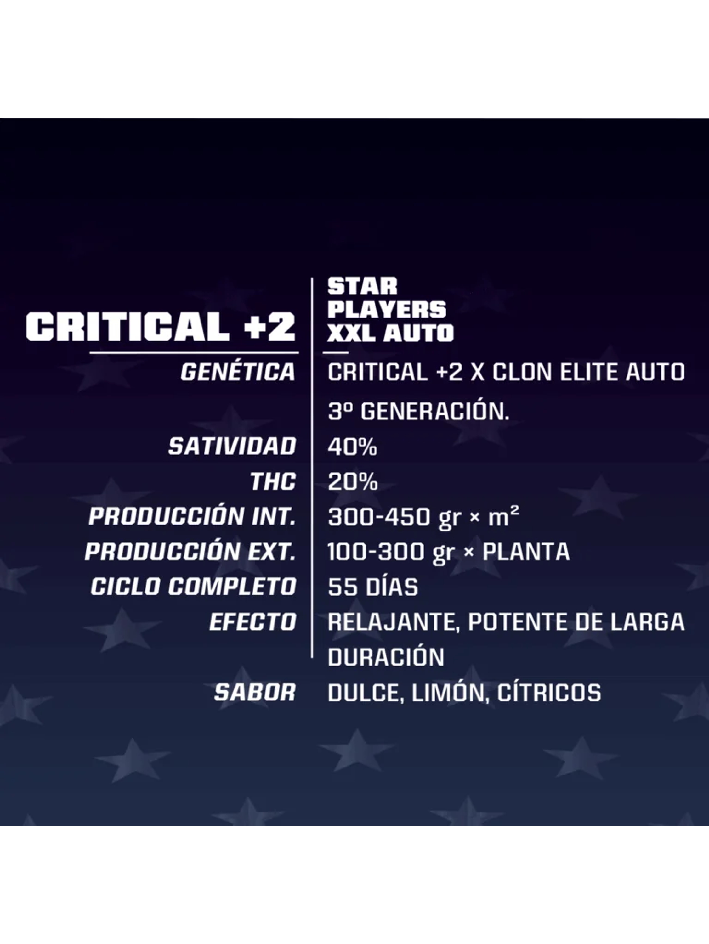 Critical +2 Xxl Auto -Bsf (X12/X7/X4/X2) 7