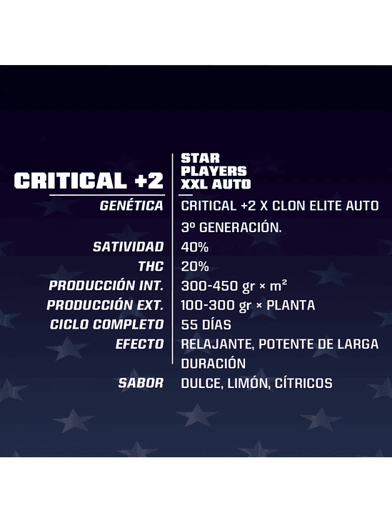 Critical +2 Xxl Auto X12-Bsf 7