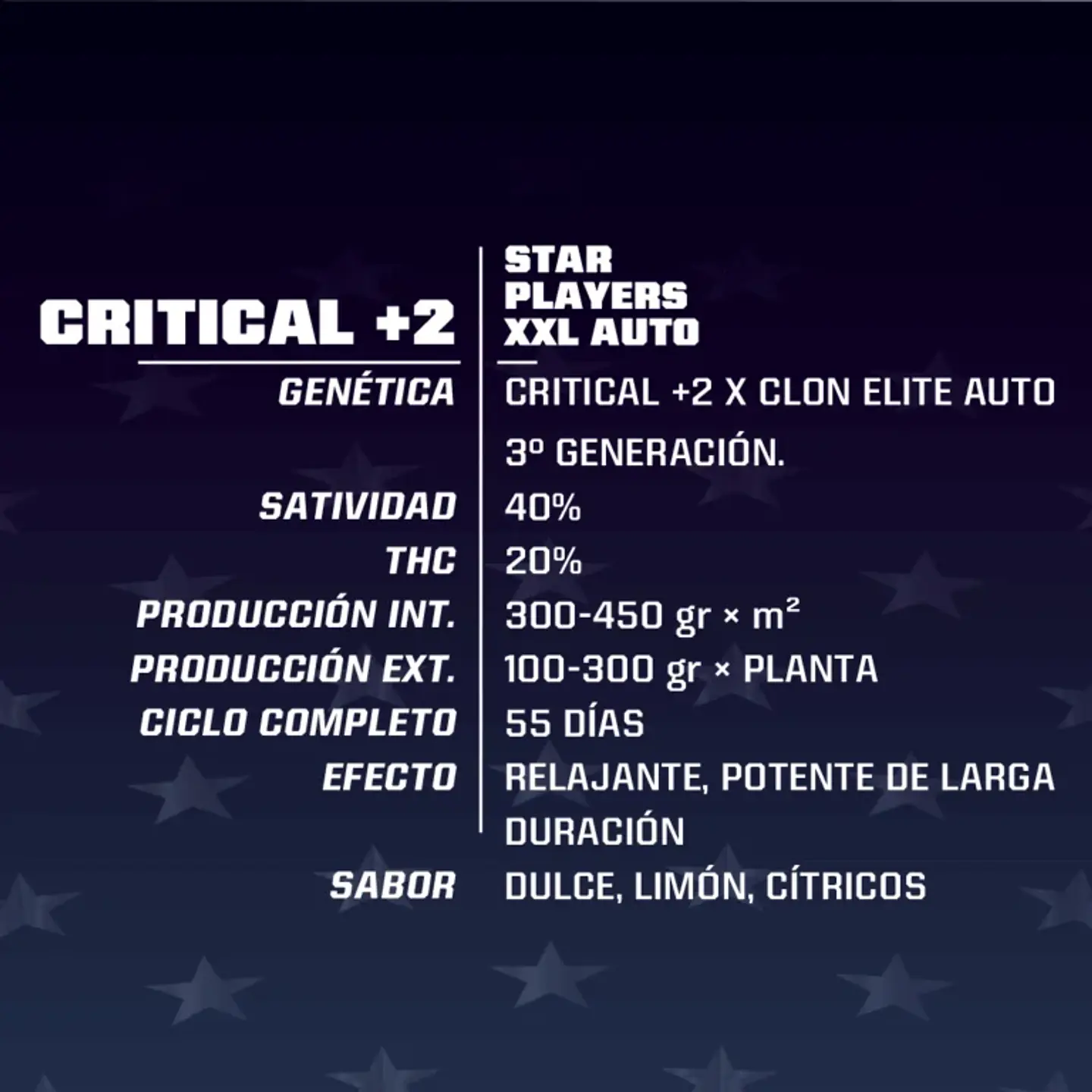Critical +2 Xxl Auto -Bsf (X12/X7/X4/X2) 7