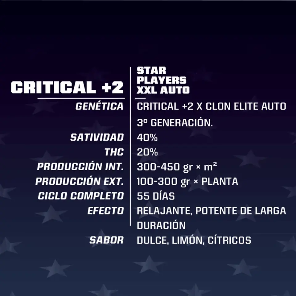 Critical +2 Xxl Auto -Bsf (X12/X7/X4/X2) 7