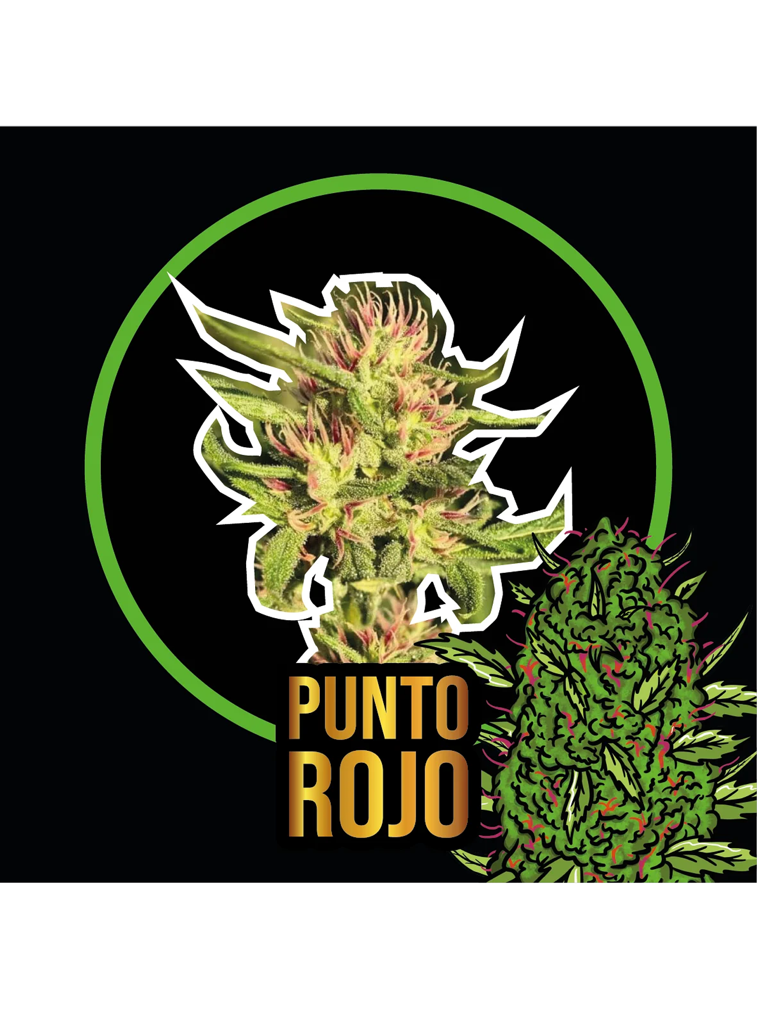 Punto Rojo Fem -Delirium Seeds (X100/X4/X2/X1) 8