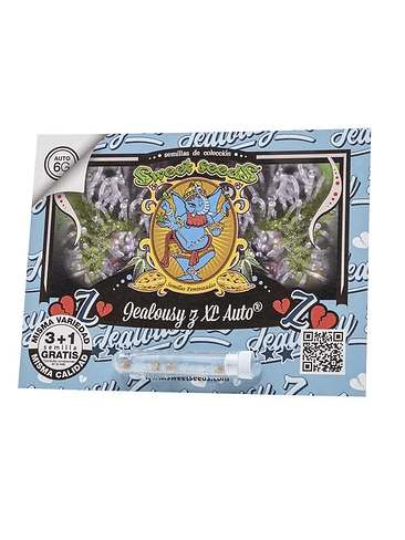 Jealousy Z Xl Auto -Sweet Seeds (X100/X25/X3+1) 4