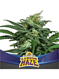 Lebron Haze Xxl Auto X12-Bsf - Miniatura 5