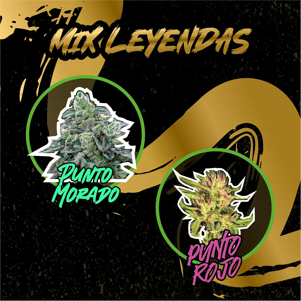 Mix Leyendas Auto -Delirium Seeds (X14/X8/X4) 6