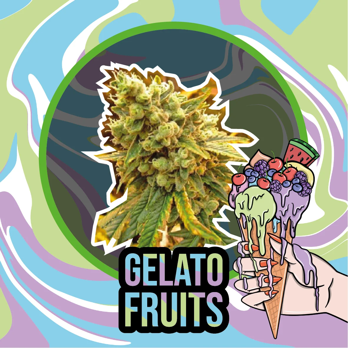 Gelato Fruits Auto -Delirium Seeds (X2/X1) 3
