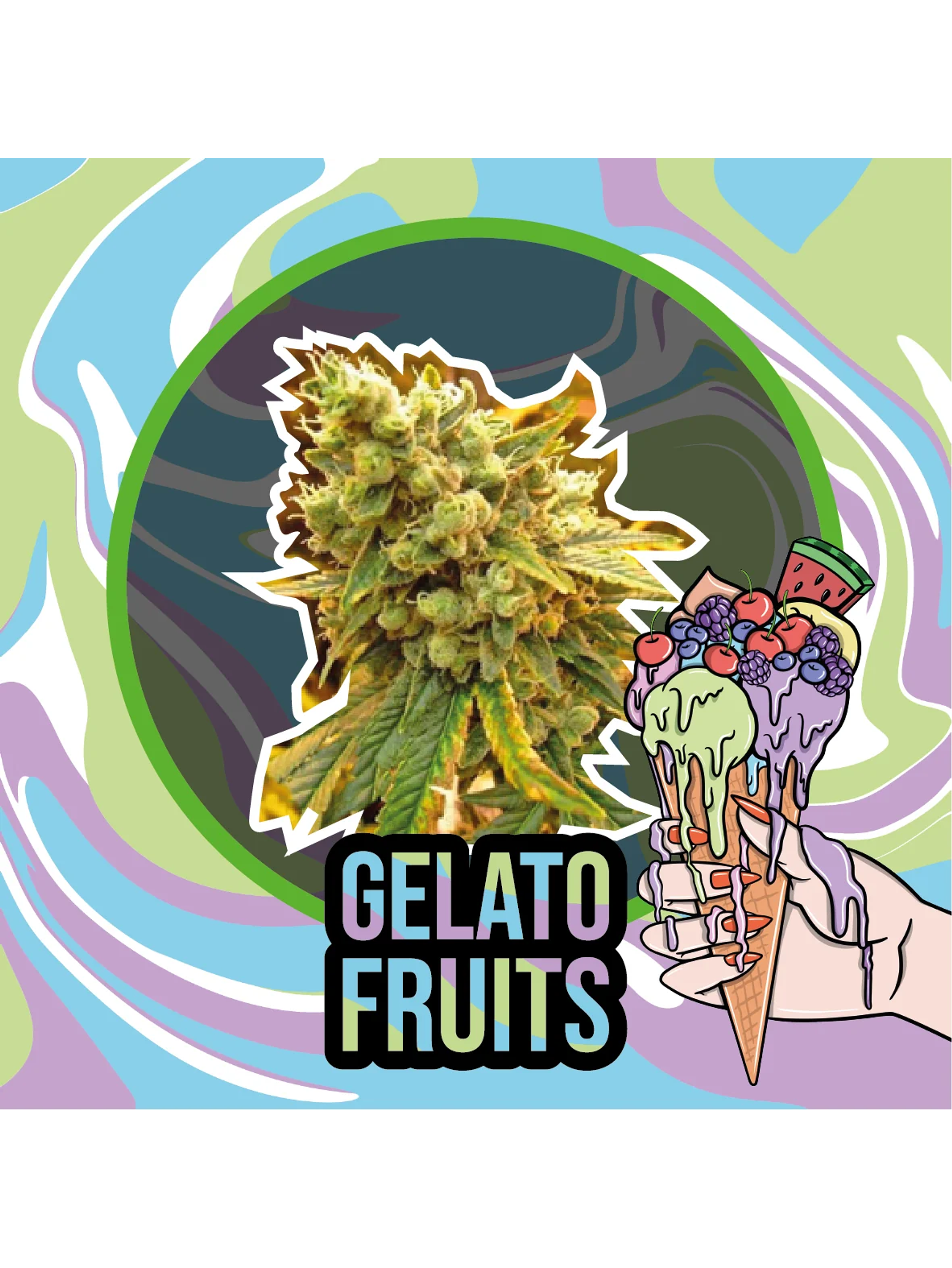 Gelato Fruits Auto -Delirium Seeds (X2/X1) 3