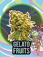 Gelato Fruits Auto X2-Delirium Seeds - Miniatura 3