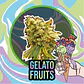 Gelato Fruits Auto -Delirium Seeds (X2/X1) - Miniatura 3
