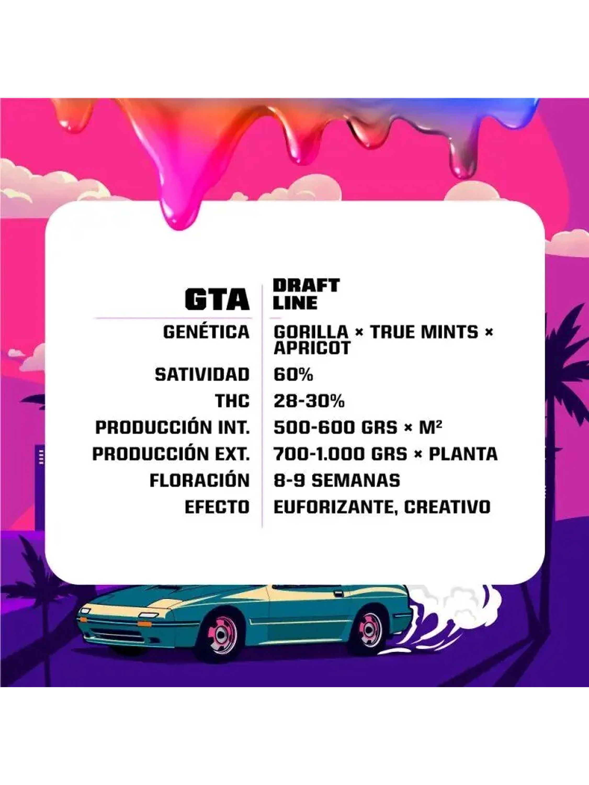 Gta Fem -Bsf (X12/X7/X4/X2) 3