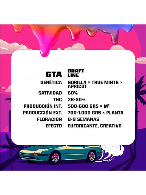 Gta Fem -Bsf (X12/X7/X4/X2) 3