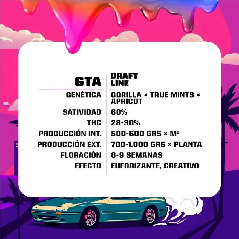 Gta Fem -Bsf (X12/X7/X4/X2) 6