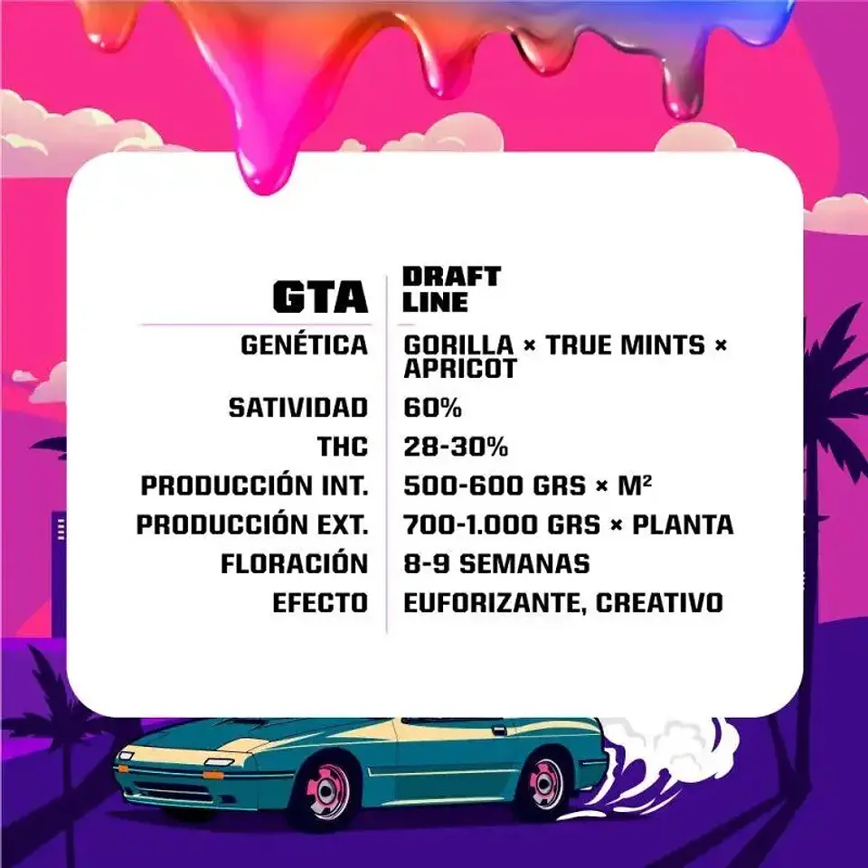 Gta Fem -Bsf (X12/X7/X4/X2) 6