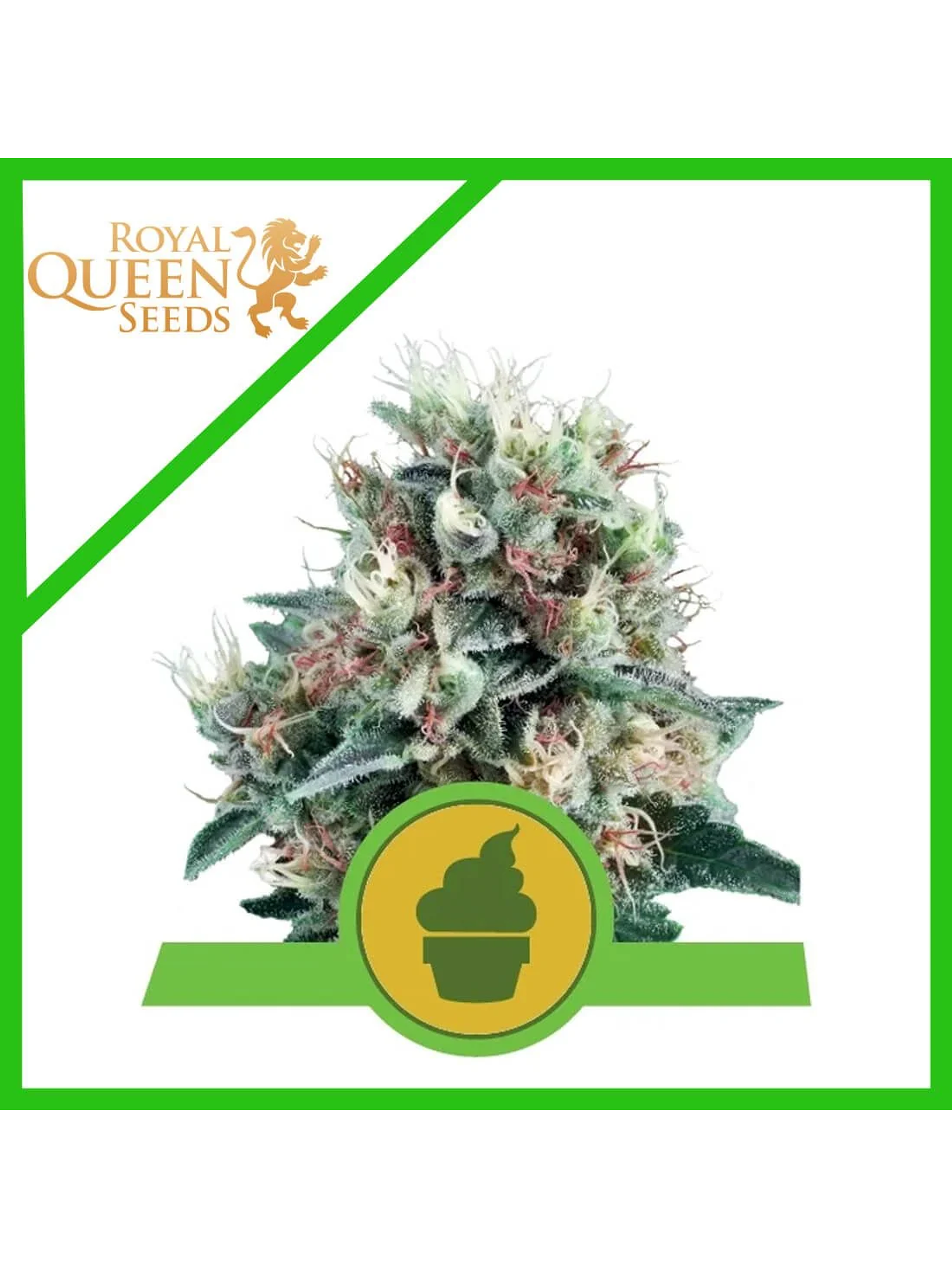 Royal Creamatic Auto -Royal Queen (X10/X3/X1) 1