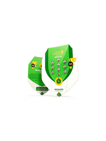 Royal Creamatic Auto X10-Royal Queen 4