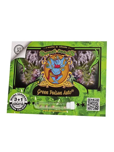Green Poison Auto -Sweet Seeds (X100/X25/X3+1) 2