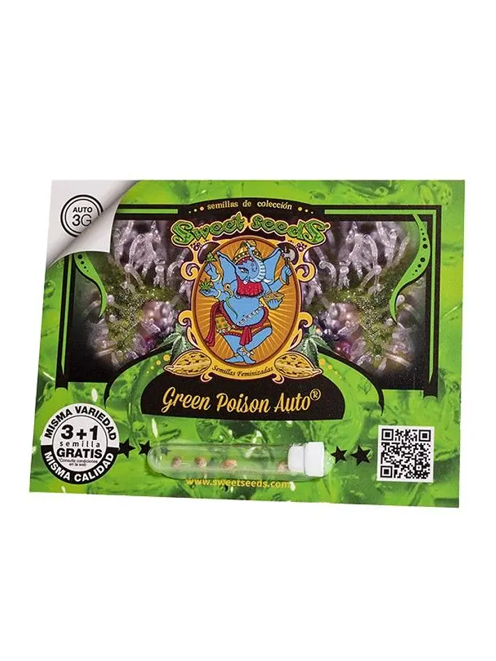 Green Poison Auto -Sweet Seeds (X100/X25/X3+1) 2
